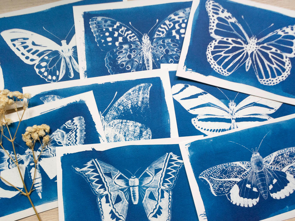 butterfly and moth cyanotype print