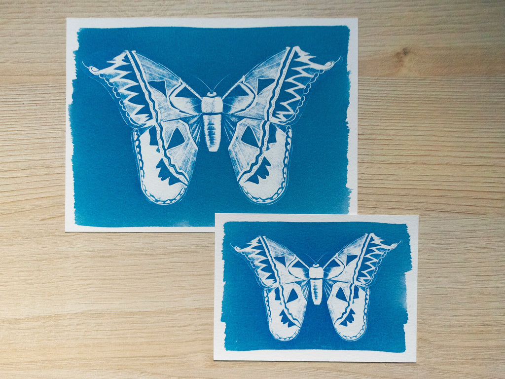 butterfly cyanotype art
