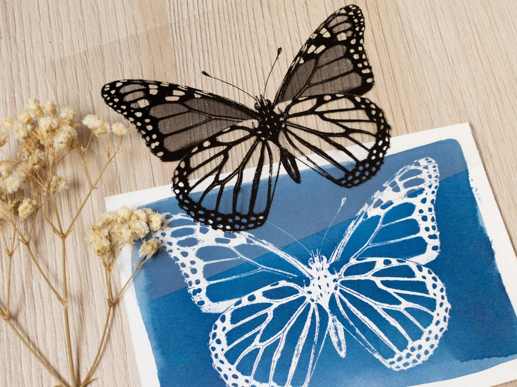 butterfly cyanotype print