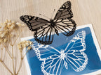 butterfly cyanotype print