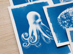 closeup octopus cyanotype art