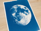 closeup of moon cyanotype print