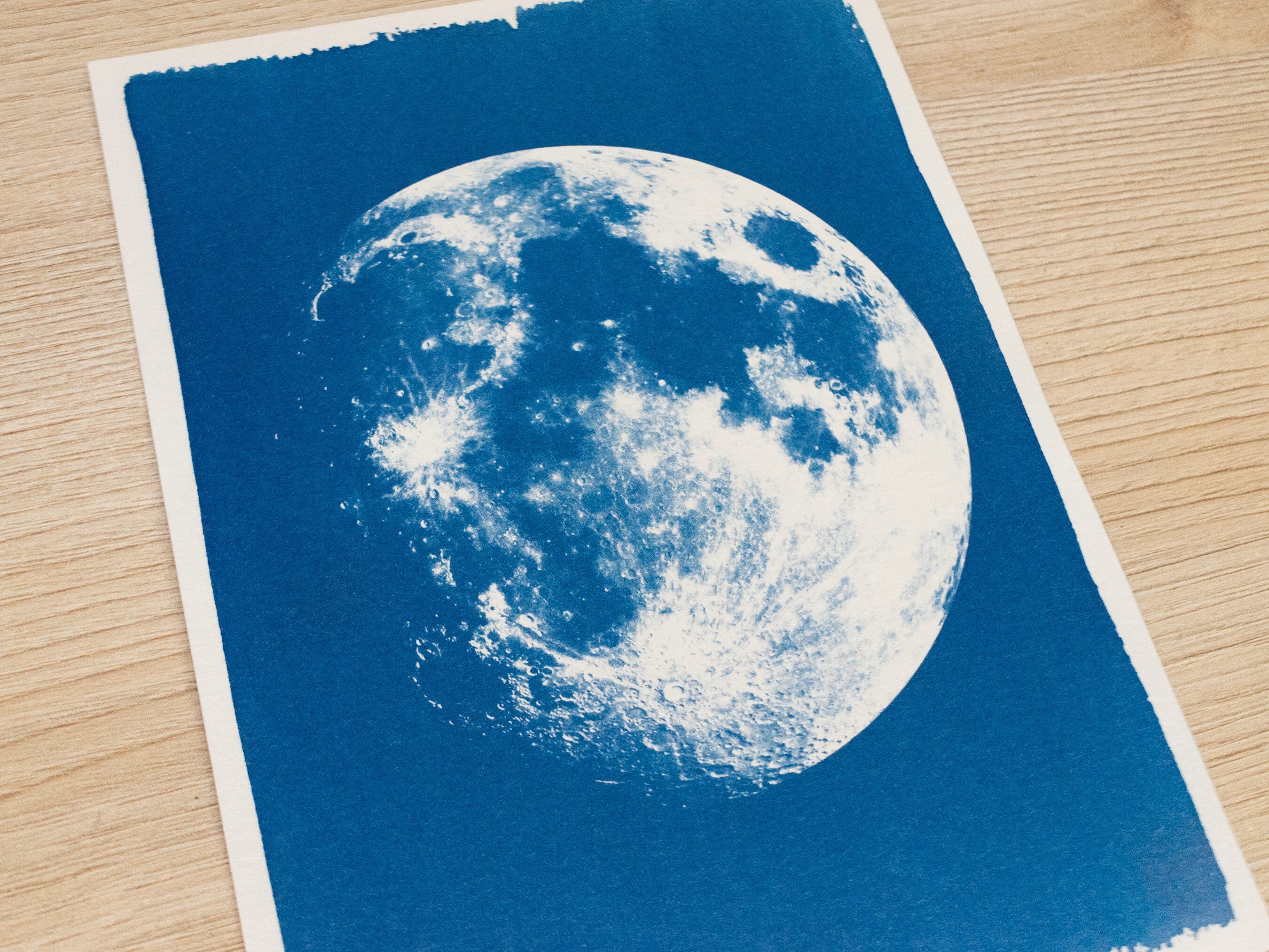 closeup of moon cyanotype print