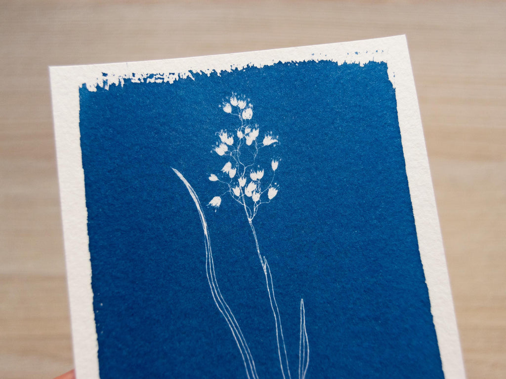 cute flower cyanotype print