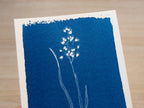 cute flower cyanotype print