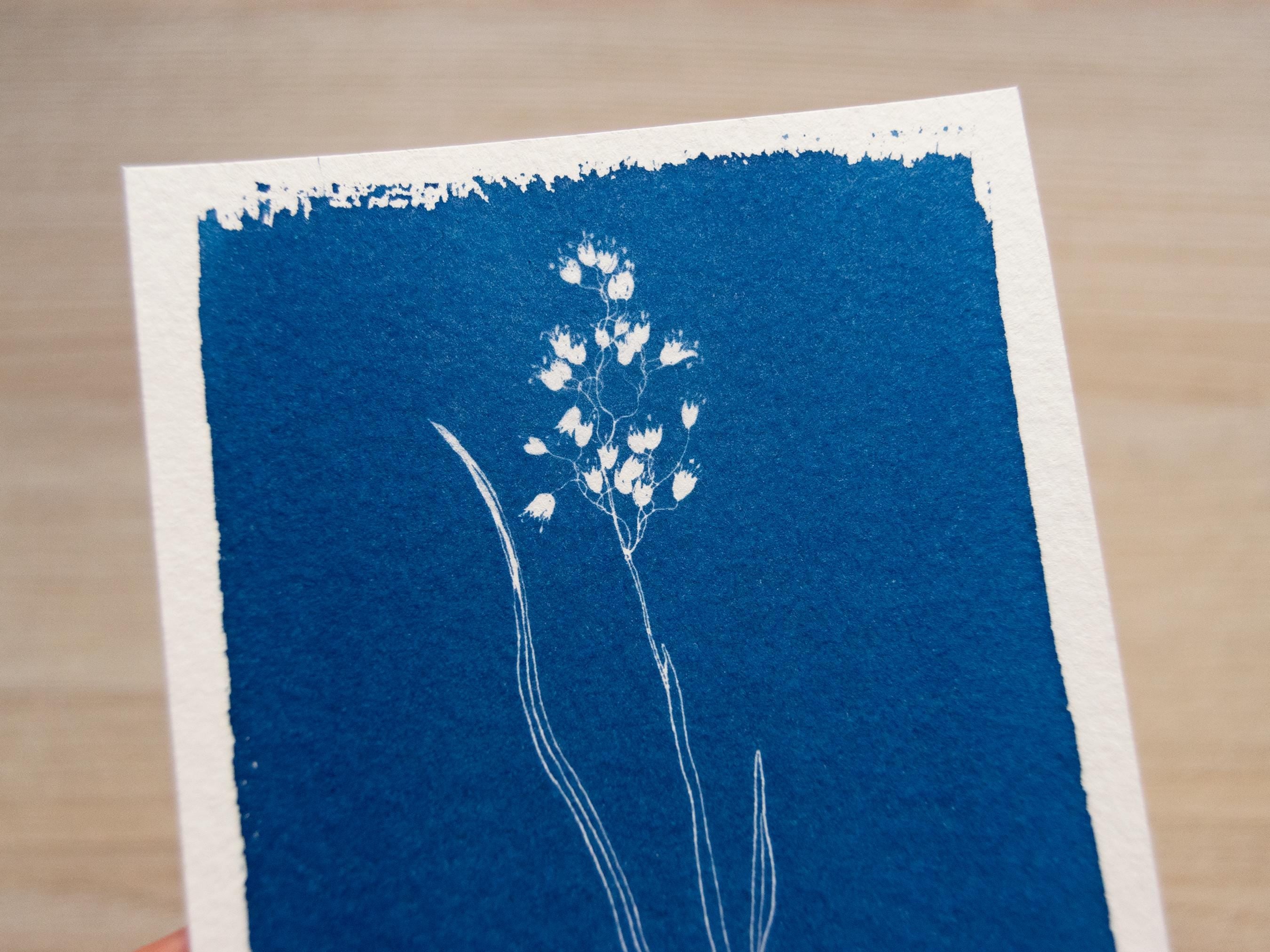 cute flower cyanotype print