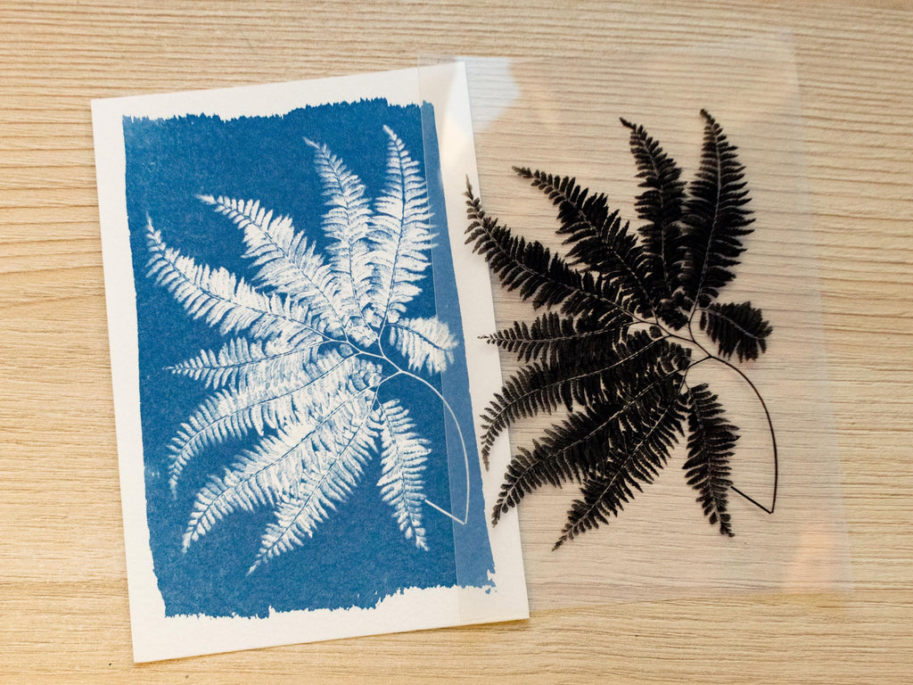 cyanotype art with fern leaf
