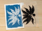 cyanotype art with fern leaf