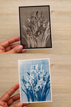 cyanotype art with flowers