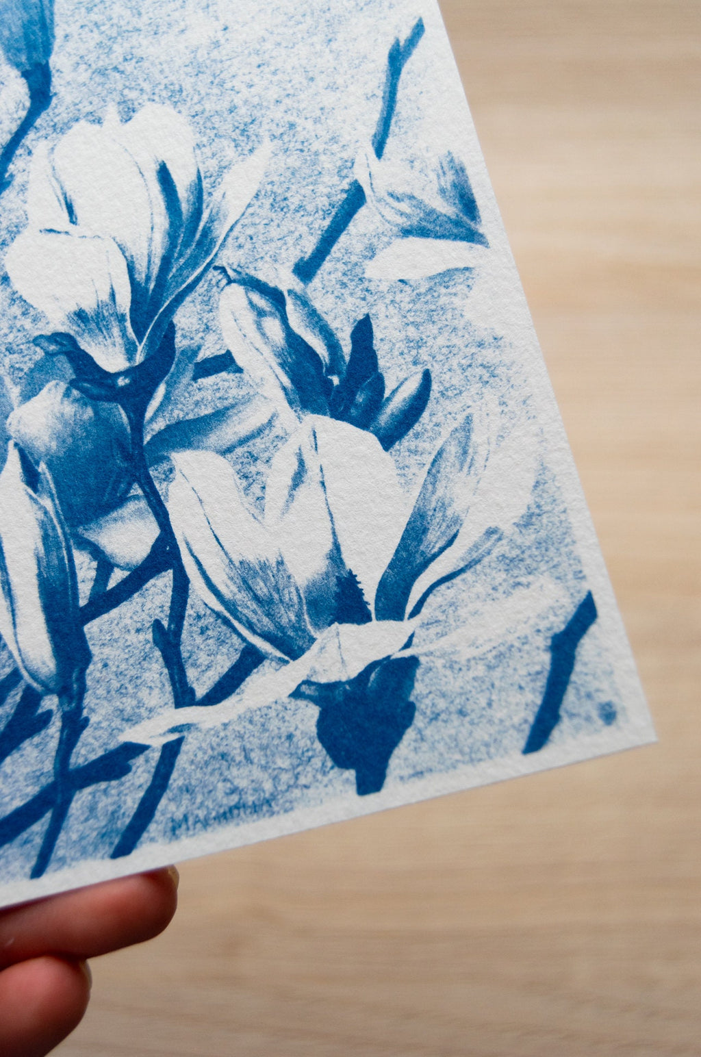 cyanotype botanical art