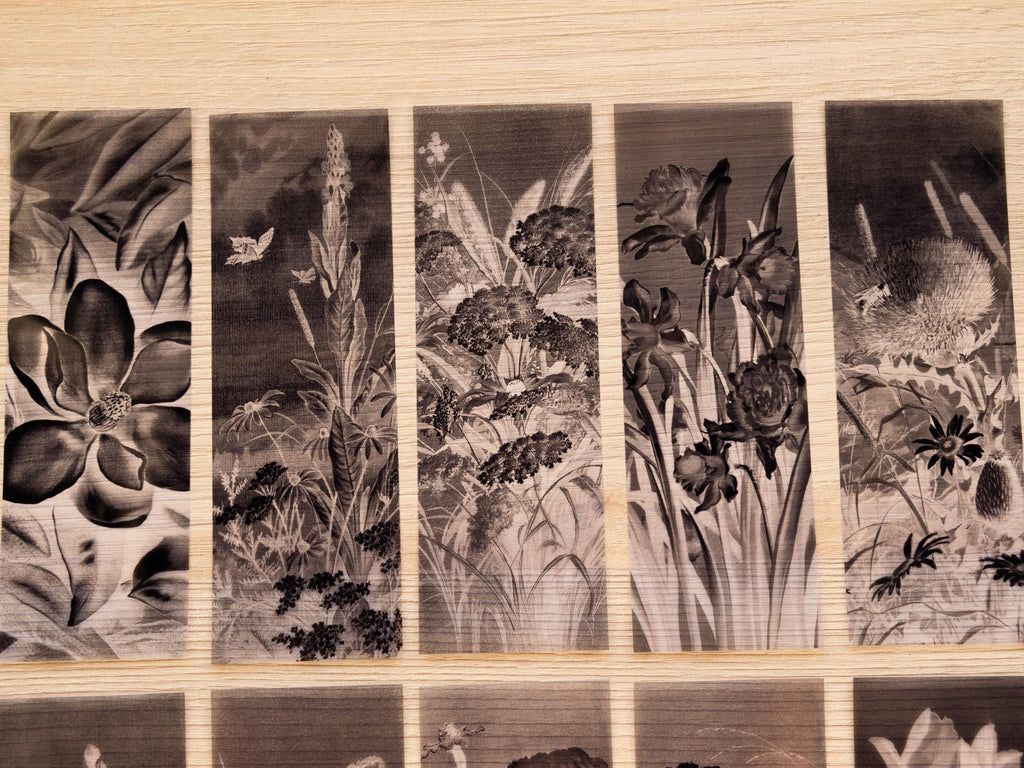 cyanotype botanical stencils