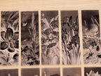 cyanotype botanical stencils