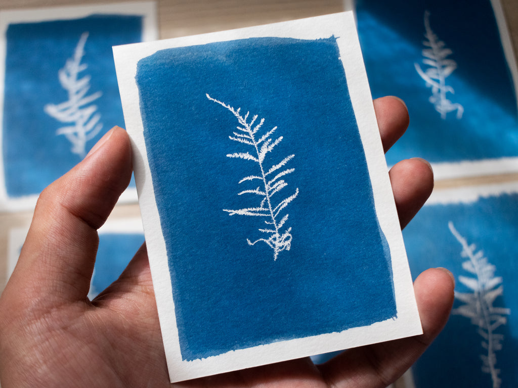 cyanotype color toning with coffee