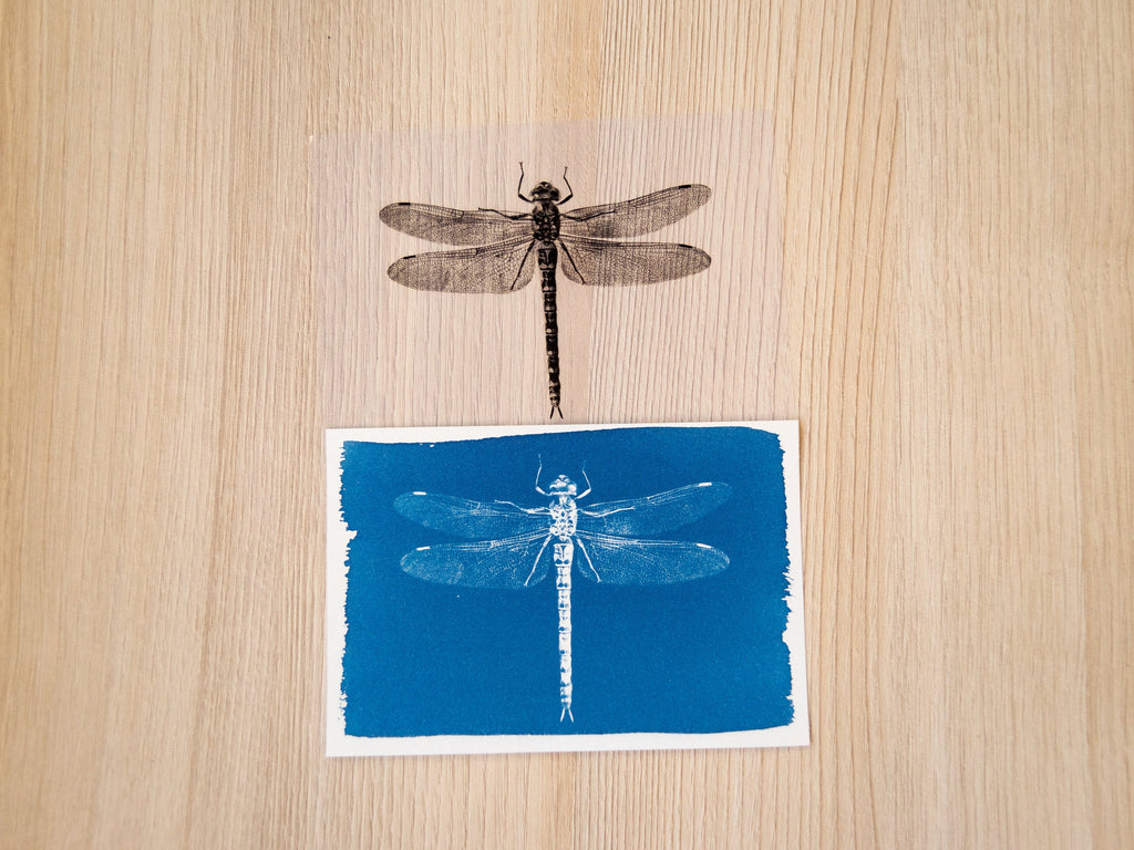cyanotype crafts with stencils