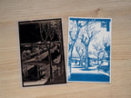 cyanotype diy ideas with stencils