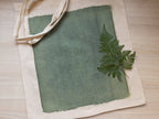 cyanotype kit on fabric