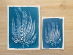 cyanotype print made with fern leaf
