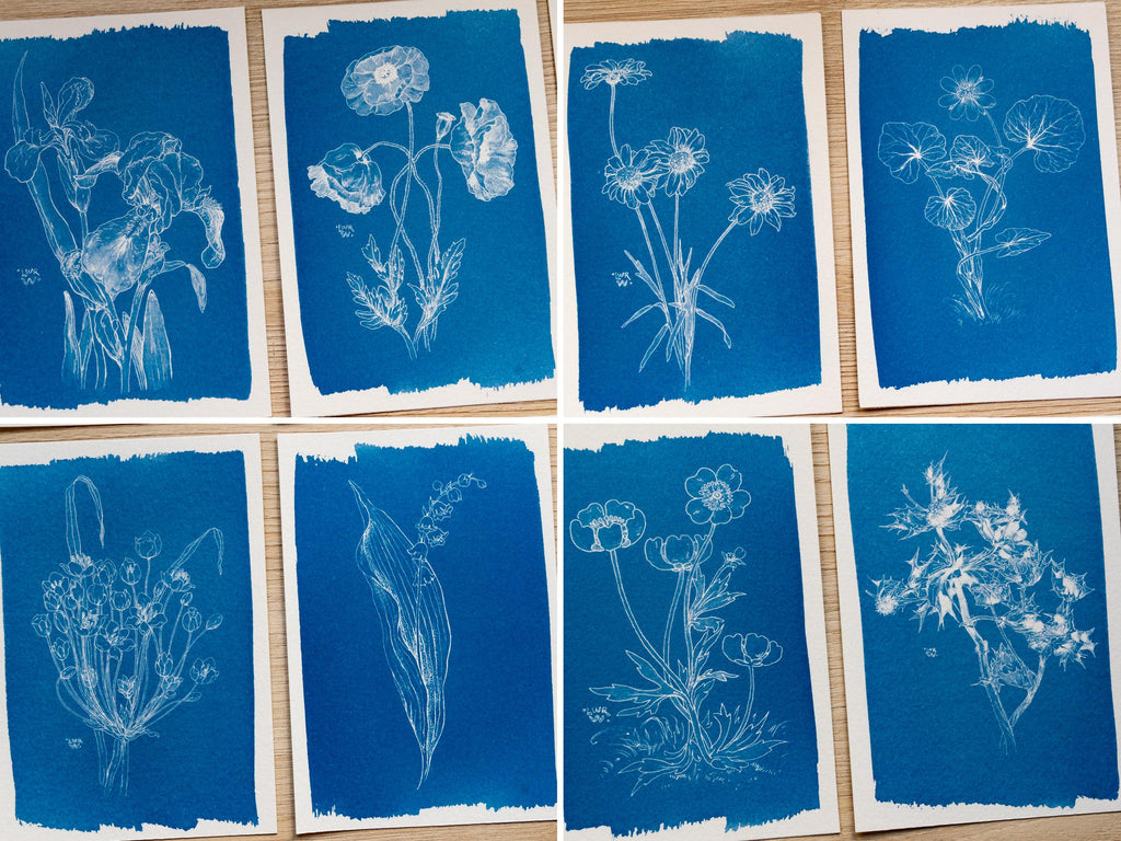cyanotype print of flowers
