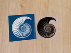 cyanotype print of nautilus