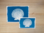 cyanotype print of sea shell