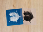 cyanotype print of shell