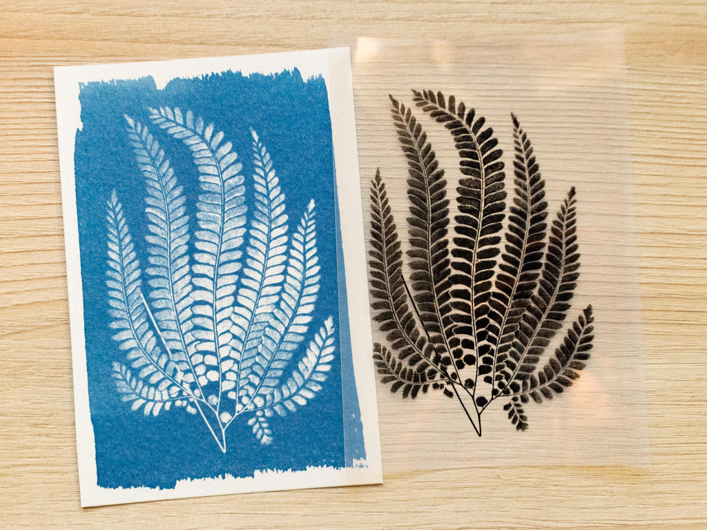 cyanotype print with ferns leaves