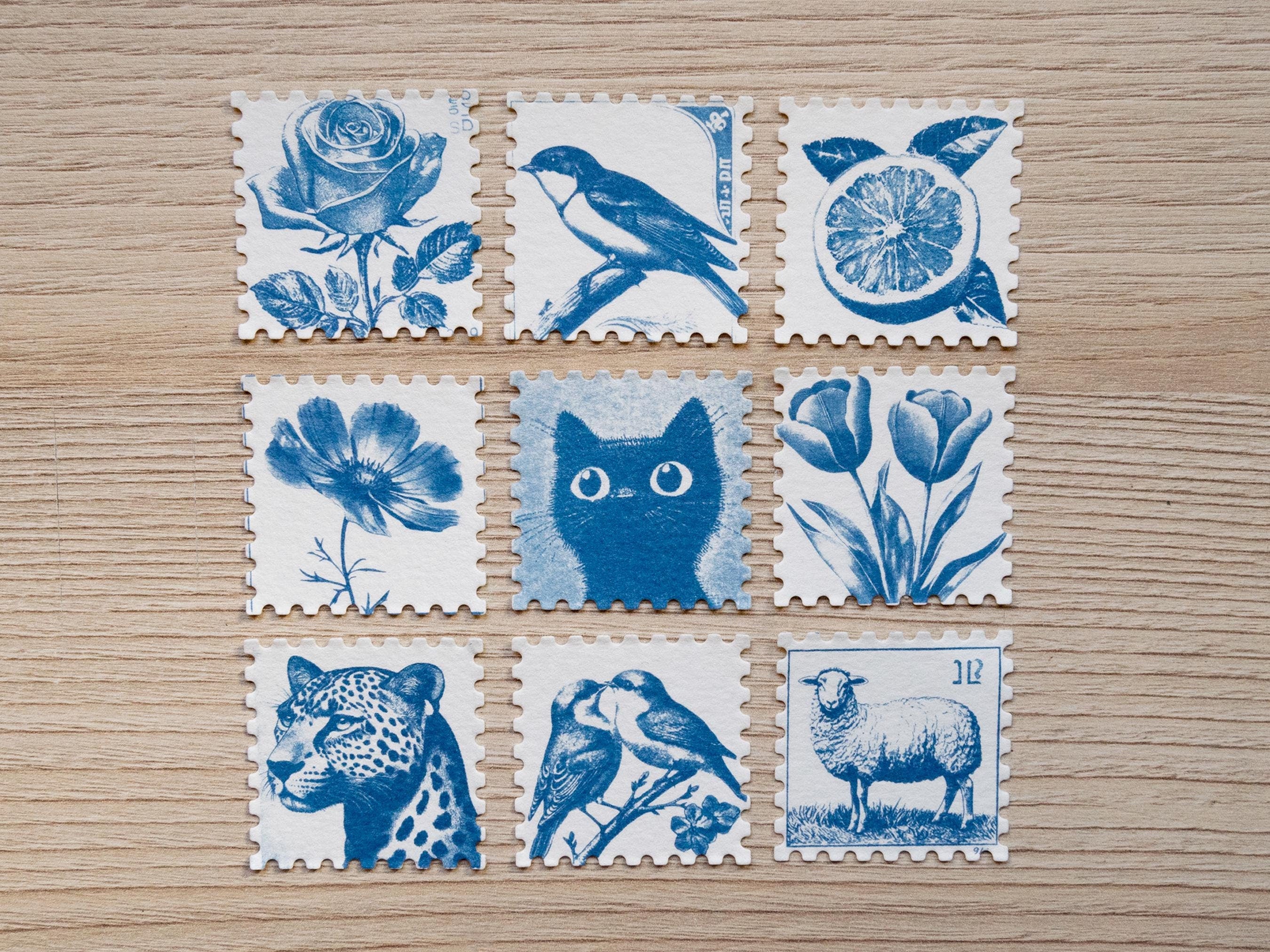 cyanotype print with postage stamp shape