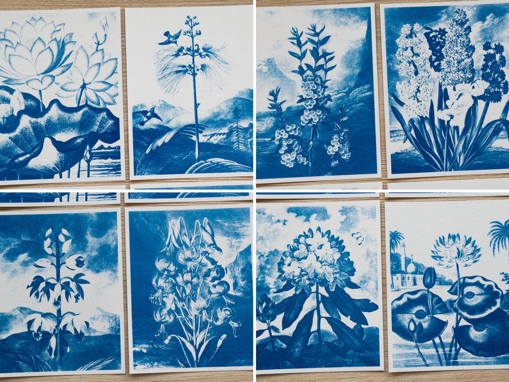 cyanotype prints made with stencils