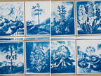cyanotype prints made with stencils