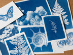 cyanotype prints made with stencils and dry plants