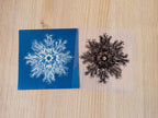 cyanotype stencils with Ernst Haeckel drawings