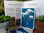 cyanotype tutorial 