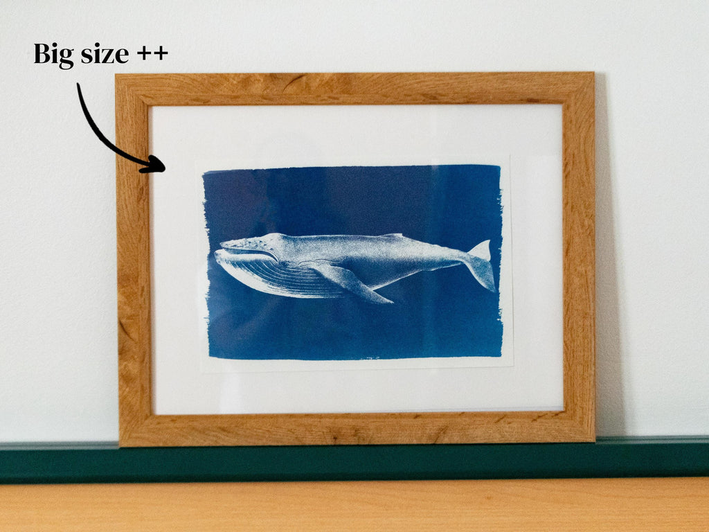 cyanotype wall art of a whale