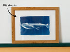 cyanotype wall art of a whale