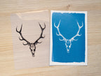 deer Antlers Cyanotype art