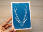 deer skull cyanotype stencil