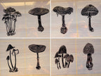 detail mushrooms cyanotype stencils