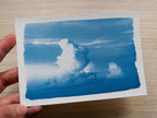 diy cyanotype crafts