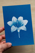 elegant flower cyanotype print