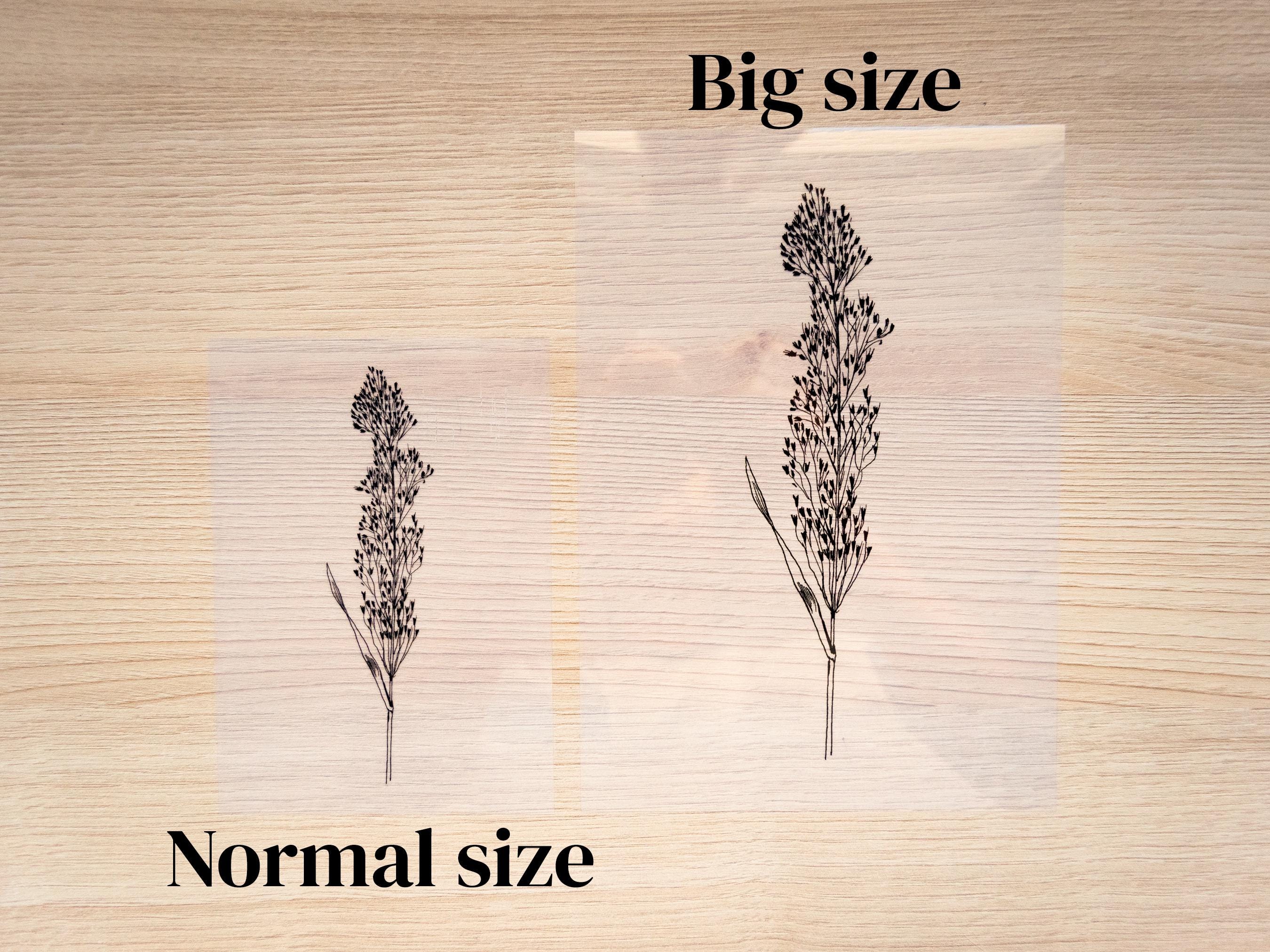 elegant flowers for cyanotype crafts