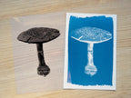 example of mushroom stencil and final cyanotype print