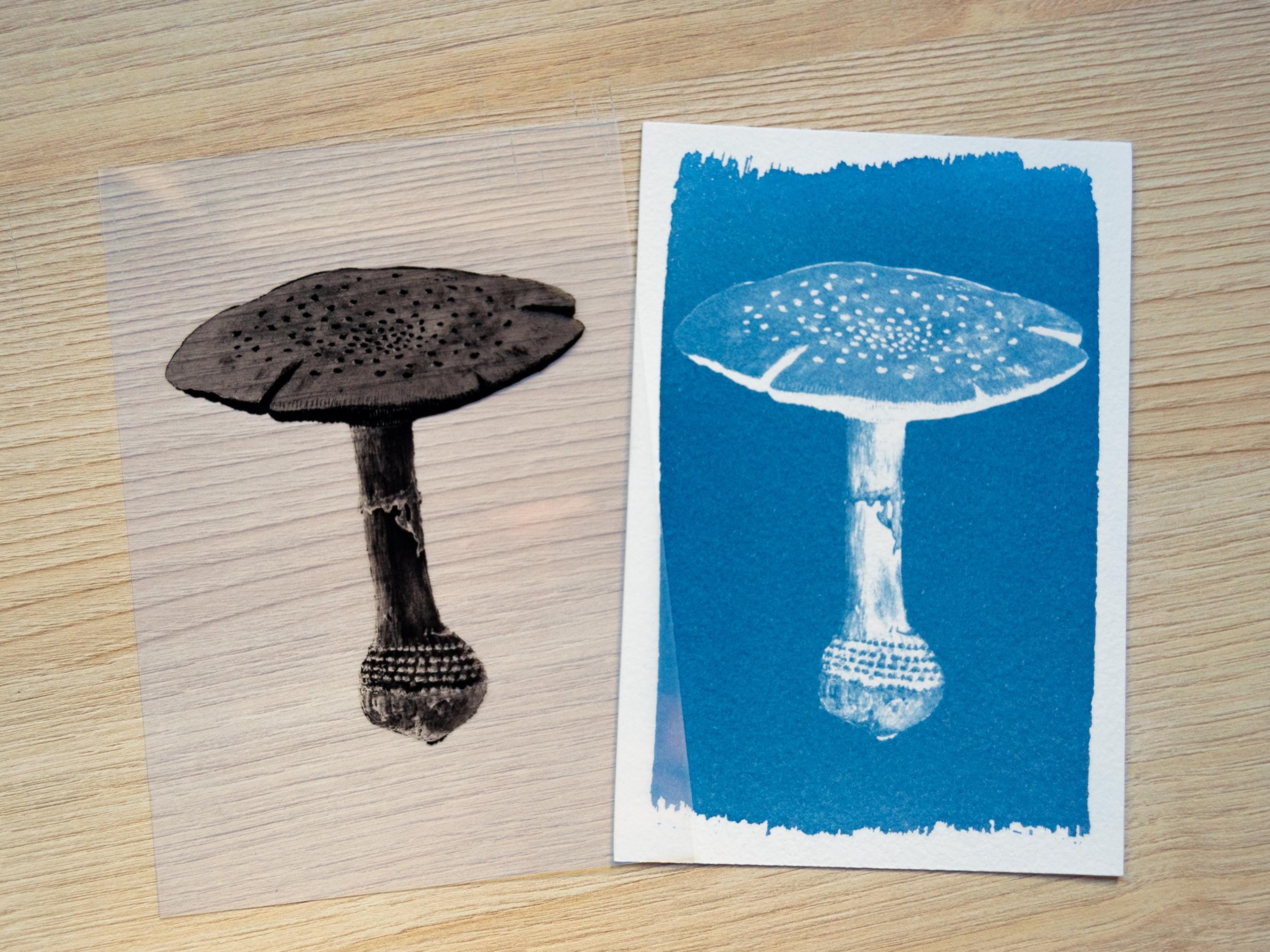 example of mushroom stencil and final cyanotype print