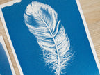 feather cyanotype art