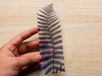 fern leaf cyanotype bookmark stencil