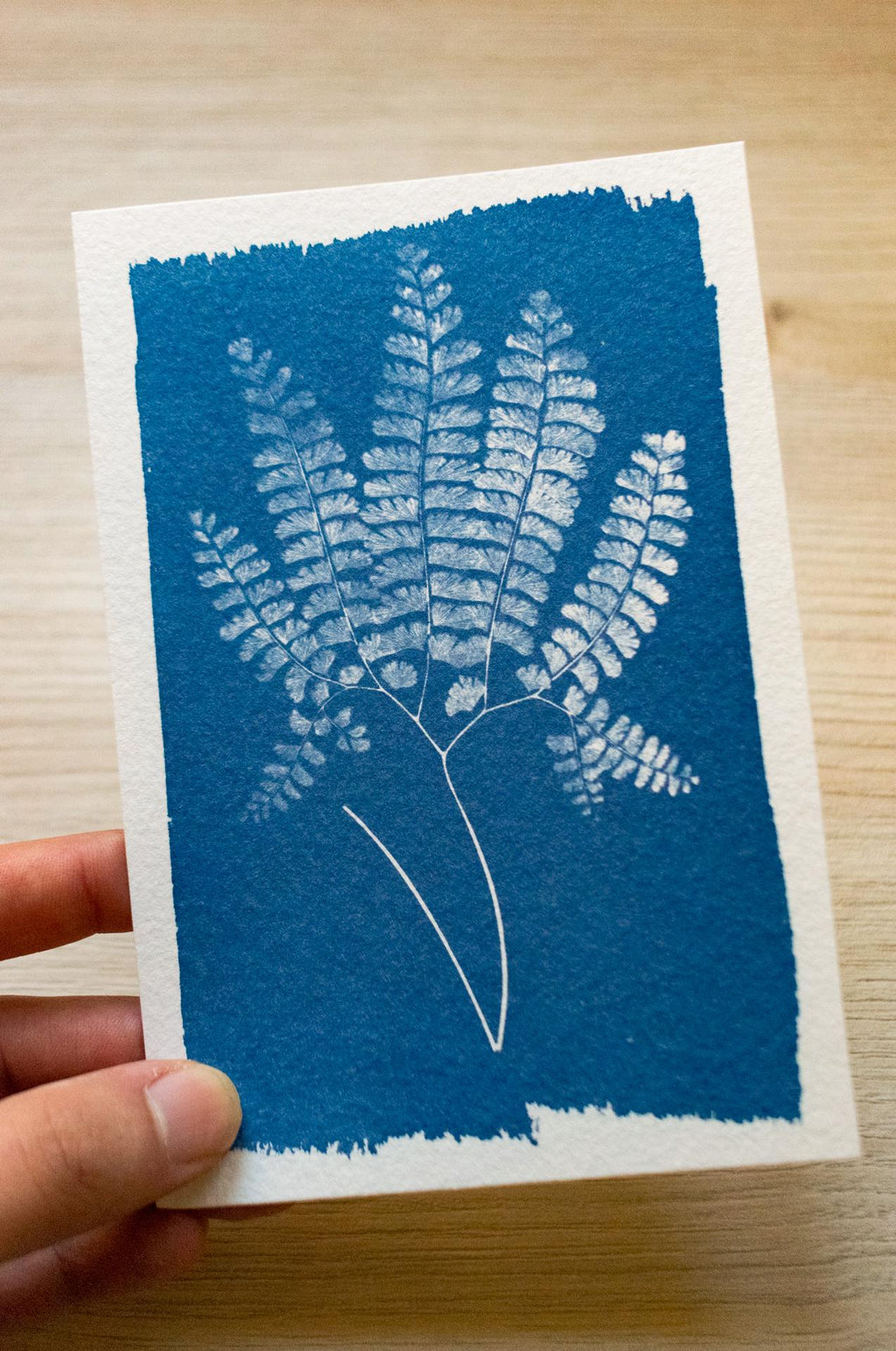 fern leaf cyanotype print with negatives