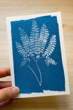 fern leaf cyanotype print with negatives