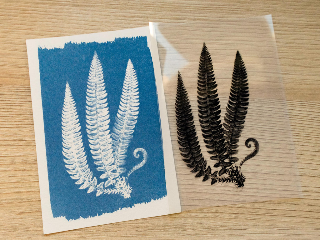 fern leaf stencil for solar printing