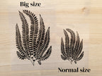 fern leaves cyanotype negatives