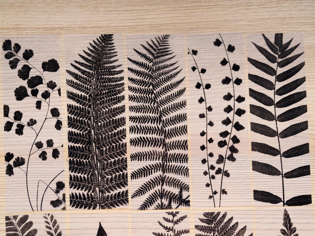 fern leaves stencils