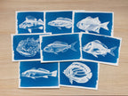 fish cyanotype print